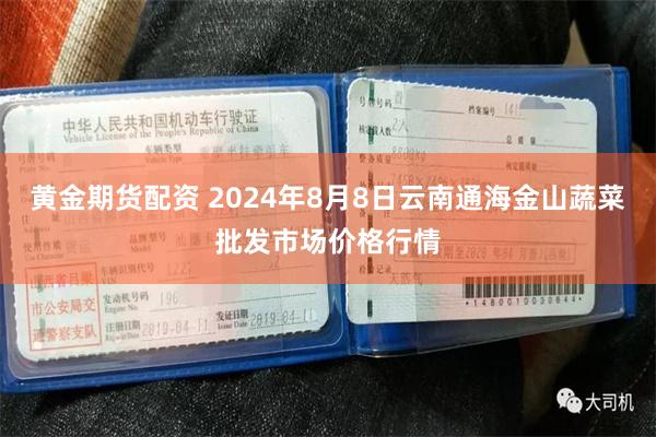 黄金期货配资 2024年8月8日云南通海金山蔬菜批发市场价格行情