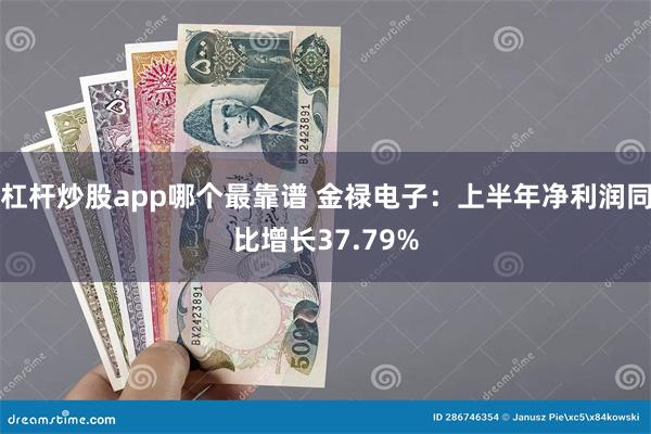 杠杆炒股app哪个最靠谱 金禄电子：上半年净利润同比增长37.79%