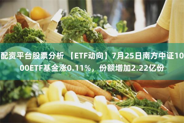 配资平台股票分析 【ETF动向】7月25日南方中证1000ETF基金涨0.11%，份额增加2.22亿份