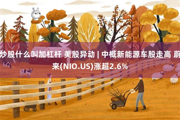 炒股什么叫加杠杆 美股异动 | 中概新能源车股走高 蔚来(NIO.US)涨超2.6%