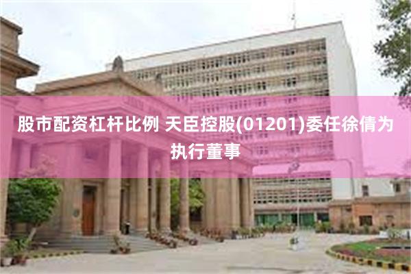 股市配资杠杆比例 天臣控股(01201)委任徐倩为执行董事