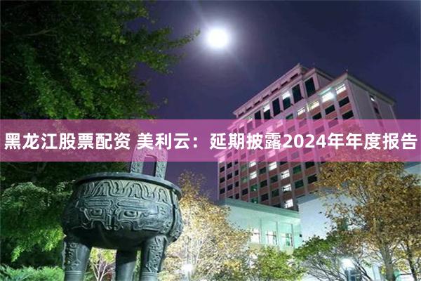 黑龙江股票配资 美利云：延期披露2024年年度报告