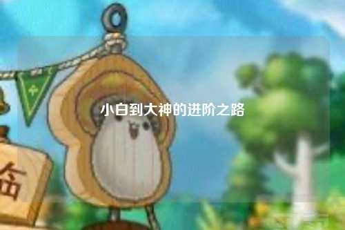 小白到大神的進階之路