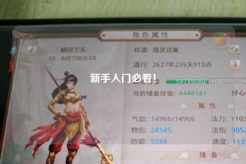 新手入門必看！