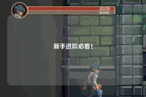 新手進階必看！