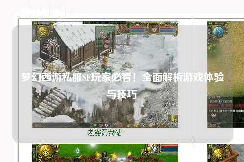 夢(mèng)幻西游私服SF玩家必看！全面解析游戲體驗(yàn)與技巧