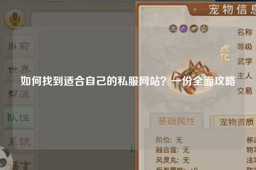 如何找到適合自己的私服網(wǎng)站？一份全面攻略