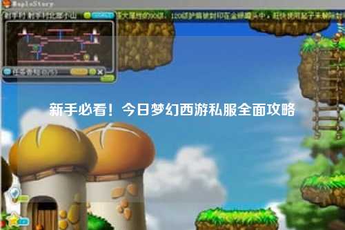 新手必看！今日夢(mèng)幻西游私服全面攻略