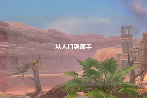 從入門到高手