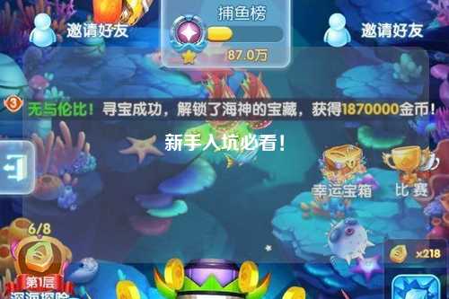 新手入坑必看！