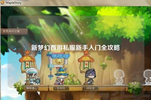 新夢(mèng)幻西游私服新手入門全攻略
