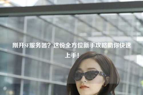 剛開SF服務(wù)器？這份全方位新手攻略助你快速上手！