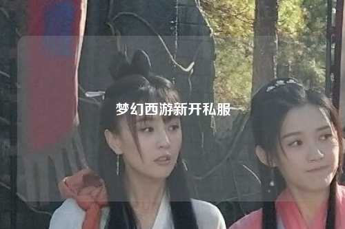 夢(mèng)幻西游新開私服