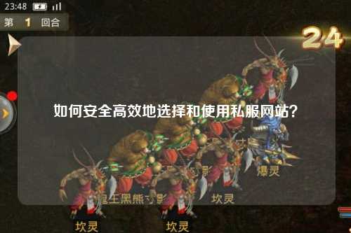 如何安全高效地選擇和使用私服網(wǎng)站？