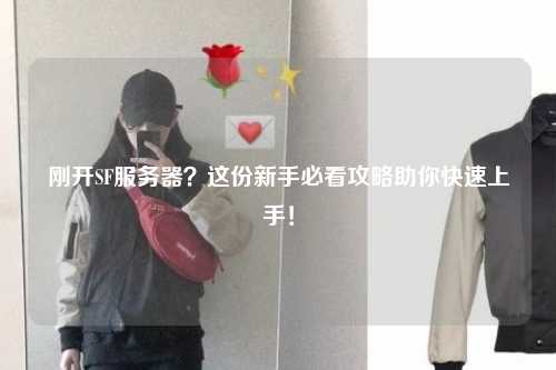 剛開SF服務(wù)器？這份新手必看攻略助你快速上手！