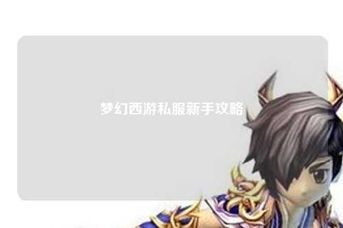 夢(mèng)幻西游私服新手攻略