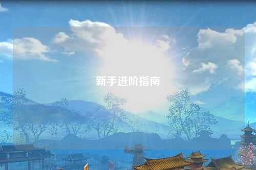 新手進階指南