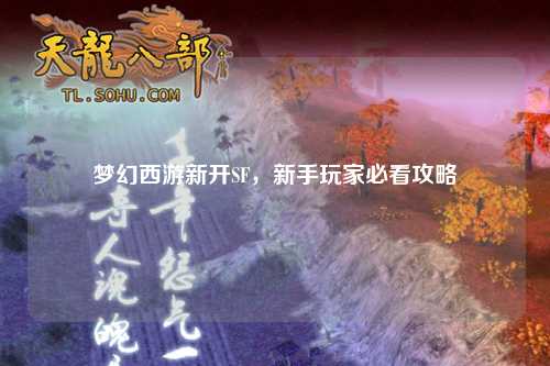 夢(mèng)幻西游新開(kāi)SF，新手玩家必看攻略