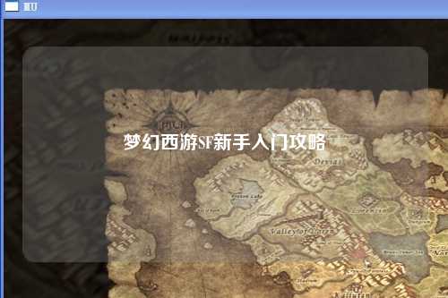 夢(mèng)幻西游SF新手入門攻略