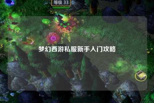 夢(mèng)幻西游私服新手入門攻略