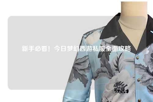 新手必看！今日夢幻西游私服全面攻略