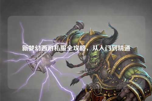 新夢(mèng)幻西游私服全攻略，從入門到精通