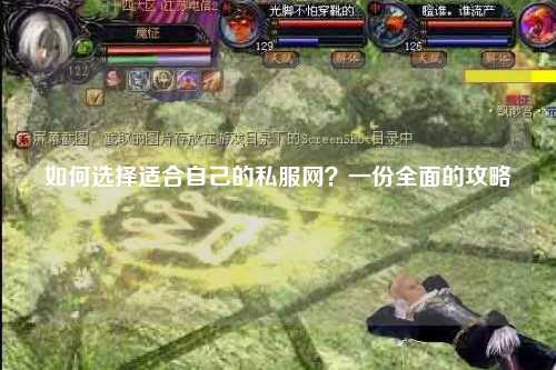 如何選擇適合自己的私服網(wǎng)？一份全面的攻略