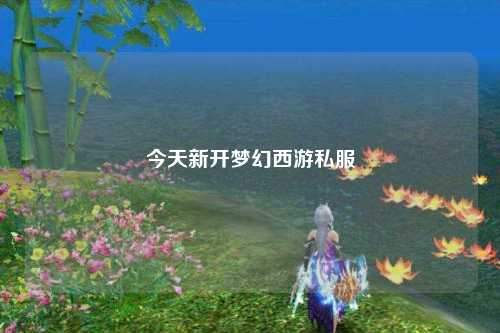 今天新開夢(mèng)幻西游私服